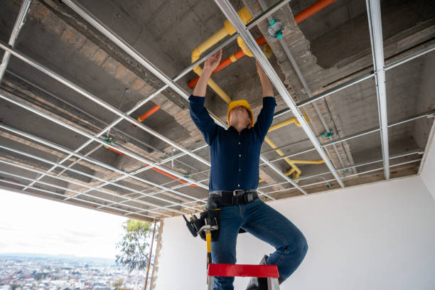 Best Plumbing Inspection Services  in Mclean, VA